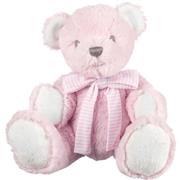 Hug-A-Boo Bear (Pink)