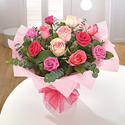 Shades of Pink Roses 