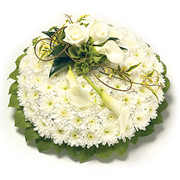 White &amp; Green Posy